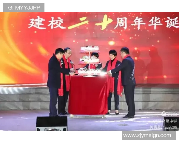 深圳排球队的辉煌征程与冠军赛背后的奋斗故事