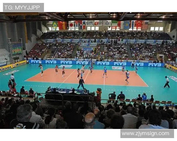 成都排球队实力对比深度解析各队优势与不足全景展现